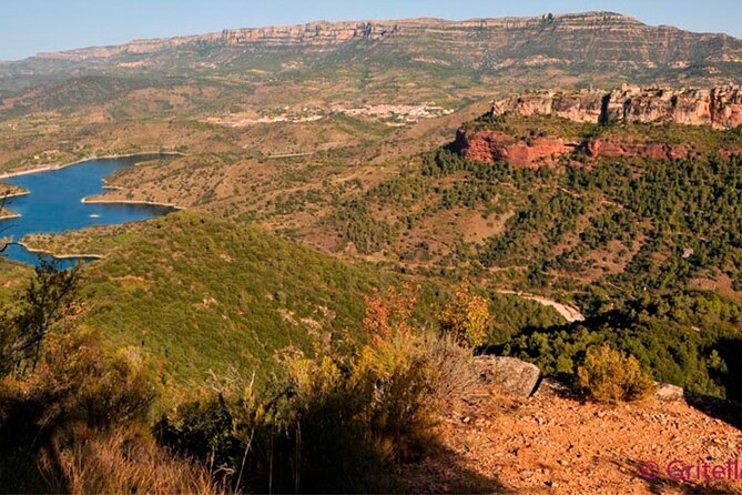 Priorat Wine Tasting Tour from Salou with hotel pickup - Key Points