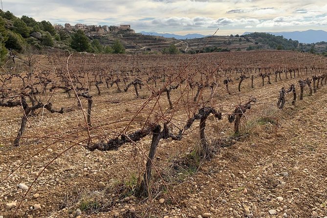 Priorat Wineries Tour with Wine Tastings & Lunch from Barcelona - Practical Tips for the Priorat Wineries Tour
