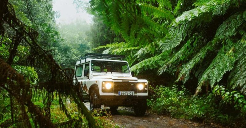 Priv. East: 4x4 Tour|Pico do Areeiro|Santana Typical Houses| - Starting at Pico do Areeiro, Madeira’s High-Altitude Marvel