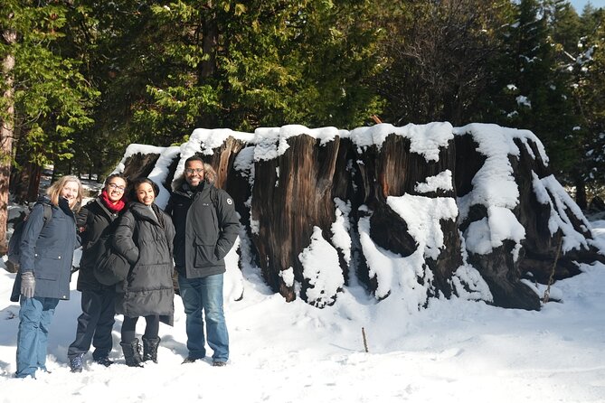 Private 1-Day Sequoia and Kings Canyon Park Tour from Los Angeles - Key Points