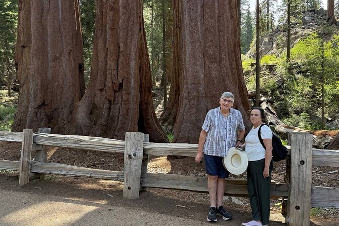 Private 1-Day Sequoia and Kings Canyon Park Tour from Los Angeles - Starting at Big Stump Grove in Kings Canyon