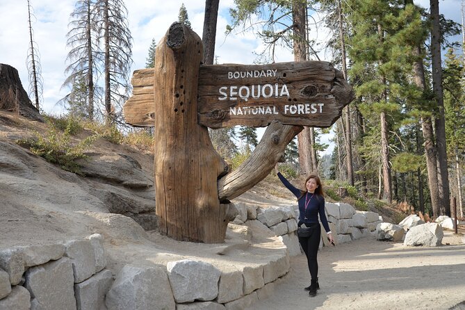 Private 1-Day Sequoia and Kings Canyon Park Tour from Los Angeles - Viewing the General Sherman Tree