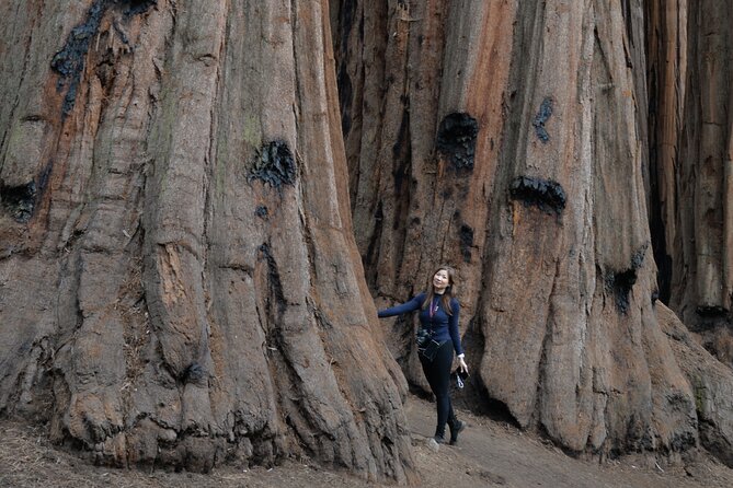 Private 1-Day Sequoia and Kings Canyon Park Tour from Los Angeles - The Iconic Tunnel Log