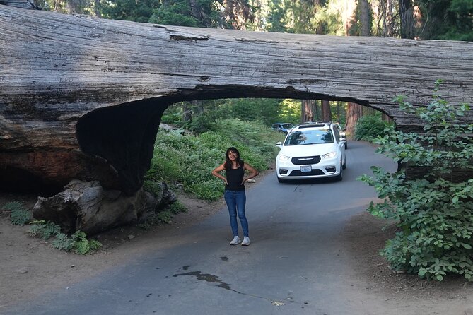 Private 1-Day Sequoia and Kings Canyon Park Tour from Los Angeles - The Parker Group and Serene Forest Walks