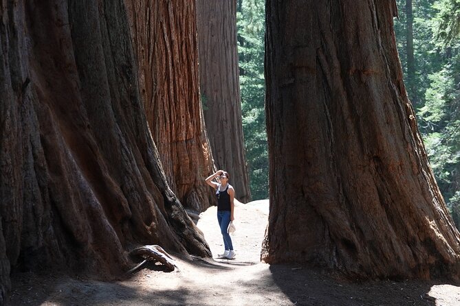 Private 1-Day Sequoia and Kings Canyon Park Tour from Los Angeles - Climbing Moro Rock for Breathtaking Views