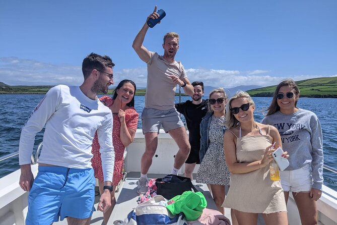 Private 1-Hour Guided Boat Tour in Dingle Peninsula - How the Dingle Peninsula Boat Tour Stands Out