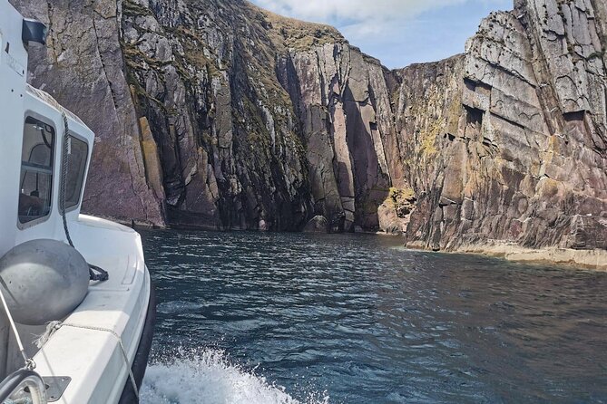Private 1-Hour Guided Boat Tour in Dingle Peninsula - Suitable for Families, Couples, and Small Groups