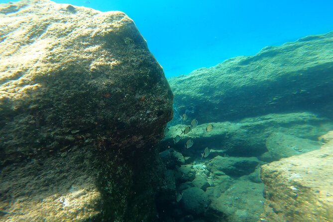 Private 1-Hour Guided Snorkeling Adventure with Go Pro Pictures - Snorkeling in the Protected Bay of Panormos Beach