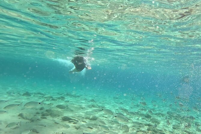 Private 1-Hour Guided Snorkeling Adventure with Go Pro Pictures - Logistical Details and Meeting Point