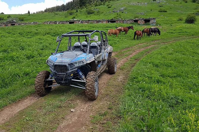 Private 1-Hour Quad or Buggy Safari in Borovets - Physical Requirements and Age Restrictions