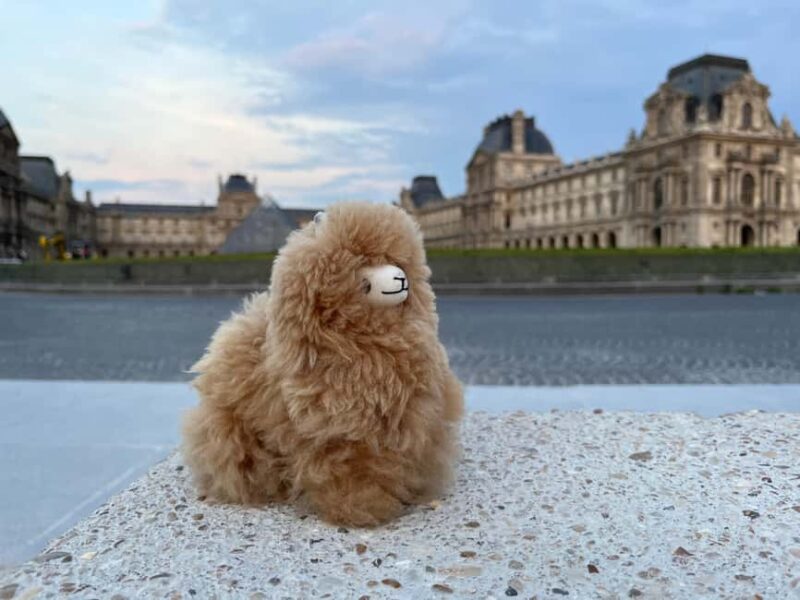 Private 2-3 hours Montmartre walking tour - Timeless charm - Key Points