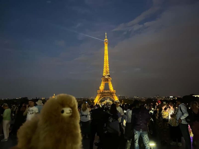 Private 2-3 hours Montmartre walking tour - Timeless charm - Visiting Sacré-Cœur and Panoramic Views of Paris