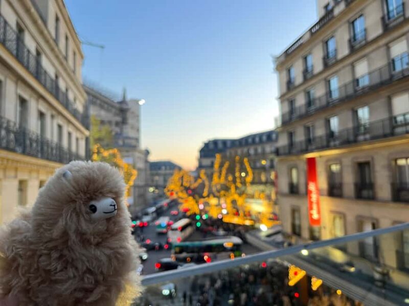 Private 2-3 hours Montmartre walking tour - Timeless charm - Why Choose This Tour Over Others in Paris?