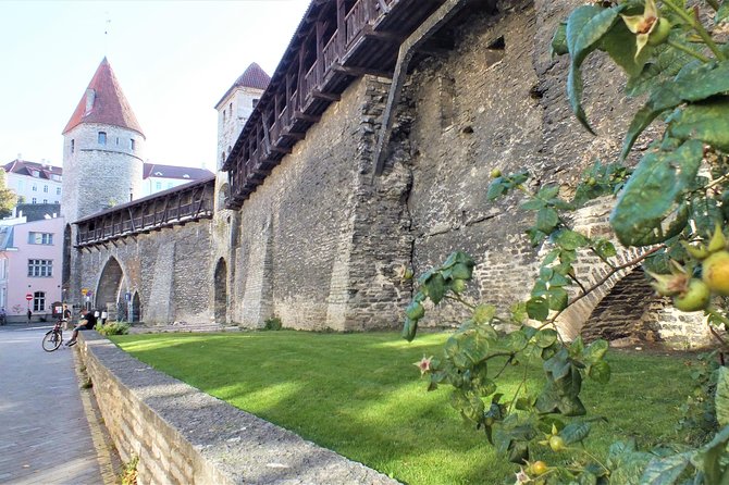 Private 2.5-Hour Tour of Tallinn Old Town in a Spacious Mercedes Minivan - Exploring Tallinn Old Town in a Comfortable Mercedes Minivan