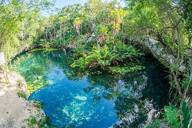 Private 2-Cenote Snorkeling Tour with Authentic Mayan Lunch - Logistics and Convenience