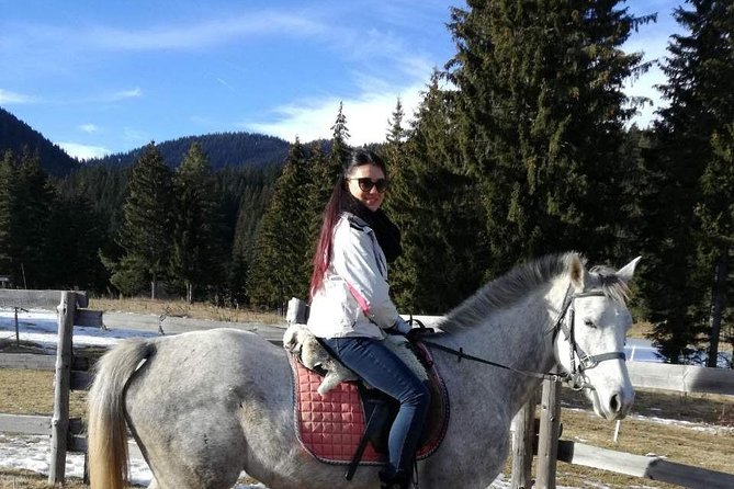 Private 2-Day Horseback Riding in Rhodope Mountains from Plovdiv - Starting Point and Travel Logistics in Plovdiv