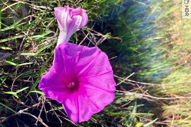 Private 2-Hour Airboat Tour of Miami Everglades - Booking, Cancellation, and Weather Policies