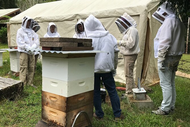 Private 2-Hour Beekeeping Classroom Tour in Honokaa - Exploring a Working Beekeeping Farm in Honokaa