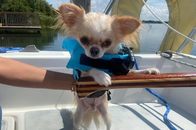 Private 2-Hour Day Sailing Experience - Starting Point and Booking Details on Lee Road