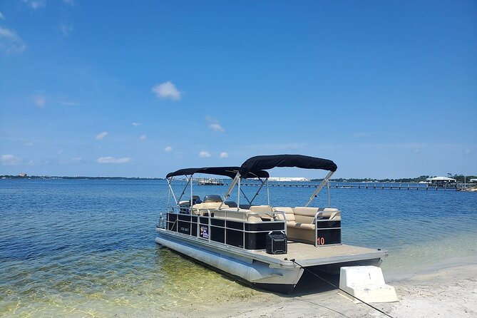 Private 2-Hour Dolphin and Sightseeing Tour - Dolphin Sightings in Their Natural Habitat