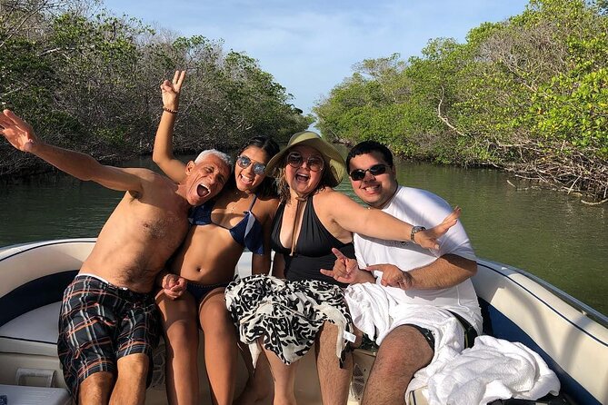 Private 2 hour Mangrove Ecotour - Key Points