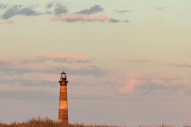 Private 2 Hour Morris Island and River Cruise - Wildlife Encounters: Dolphins, Turtles, and Birds