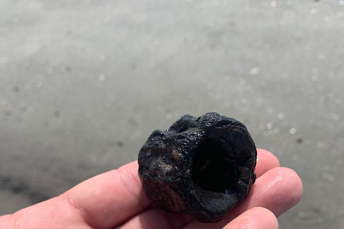 Private 2 Hour Morris Island and River Cruise - Weather Policy and Cancellations