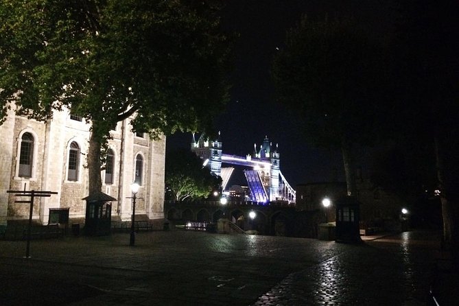 Private 2-Hour Night Tour of London in an Iconic Black Cab - Starting at Embankment with Hotel Pickup in Central London