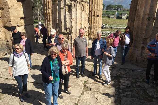 Private 2 Hour Paestum Tour - The Value of a Private Tour with a Knowledgeable Guide