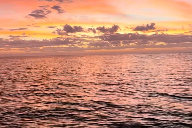 Private 2 Hour Sunset Cruise Marco Island, FL - The Stops: Beach Shelling and Wildlife Viewing