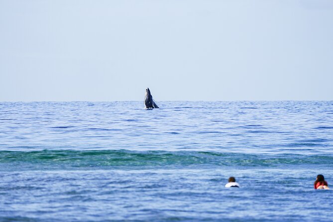 Private 2 hour Surf Lessons with Experienced Coaches - Key Points