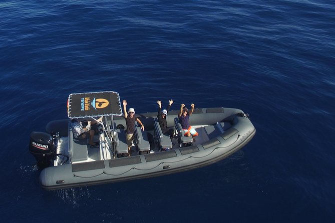 Private 2 hour Whale Watching Tour - Experience the Best of Tenerife’s Marine Wildlife in Just 2 Hours