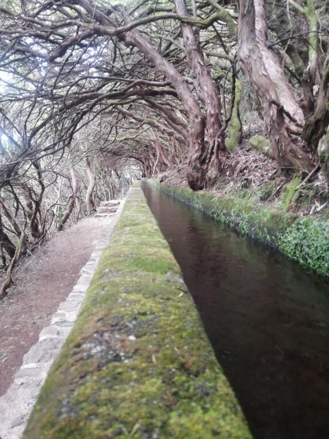 Private - 25 Fontes and Risco Waterfall Guided Tour - Discover the Beauty of Madeira with a Private Guided Tour to 25 Fontes and Risco Waterfall
