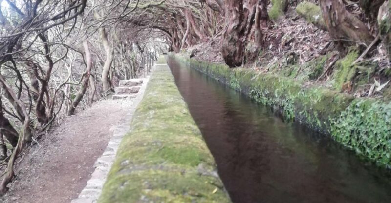 Private - 25 Fontes and Risco Waterfall Guided Tour - Key Points