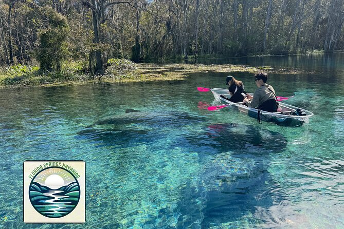 Private 2Hour Clear Kayak/ROC Paddle Board Rental on Silver River - Location and Meeting Point at Silver Springs State Park
