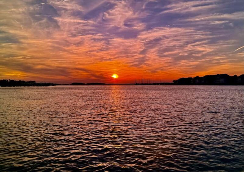 PRIVATE 2HR DOLPHIN CRUISE - Timing and Flexibility of the Tour