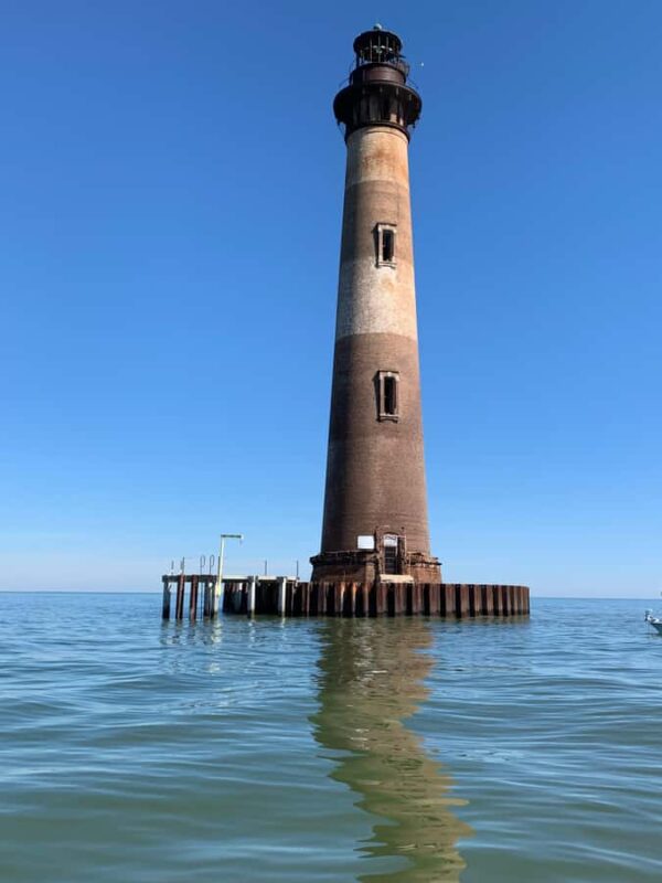 PRIVATE 2HR DOLPHIN CRUISE - What Makes This Tour Stand Out