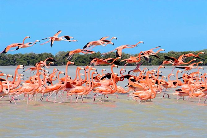 Private 3-Day Yucatan Sightseeing Tour from Playa del Carmen - Explore the Best of Yucatan in a 3-Day Private Tour from Playa del Carmen