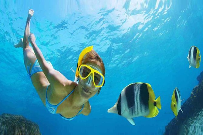 Private 3-Hour Snorkeling Tour with Arch Tour and Beach Time - Cabo’s Famous Arch in a Glass Bottom Boat