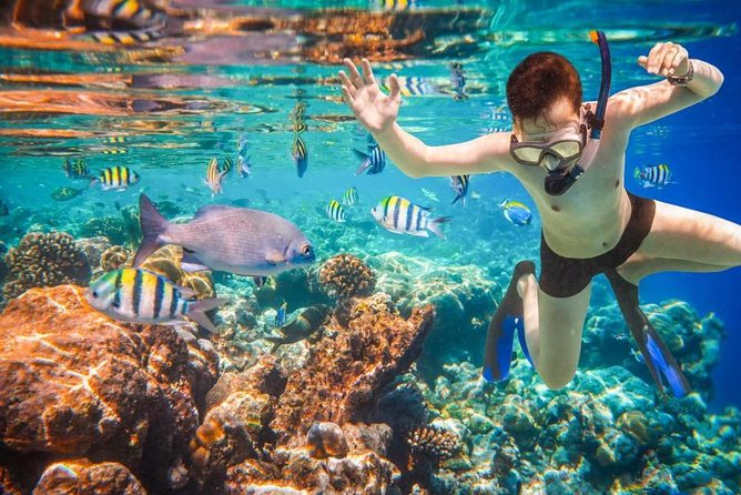 Private 3-Hour Snorkeling Tour with Arch Tour and Beach Time - The Experience of a Private Tour in Cabo San Lucas