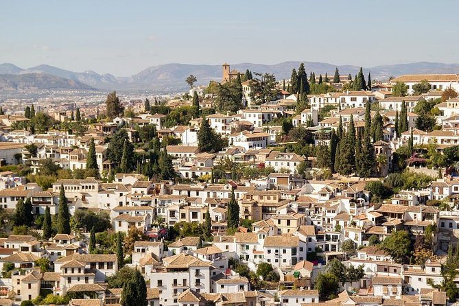Private 3-hour Walking Tour Granada (incl. tickets to Cathedral & Royal Chapel) - Marveling at Granada Cathedrals Architectural Grandeur