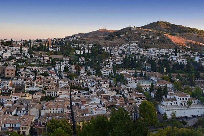 Private 3-hour Walking Tour Granada (incl. tickets to Cathedral & Royal Chapel) - The Customization of Your Tour Experience