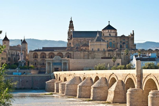 Private 3-hour Walking Tour of Cordoba with official tour guide - The Guide Experience and Personalization