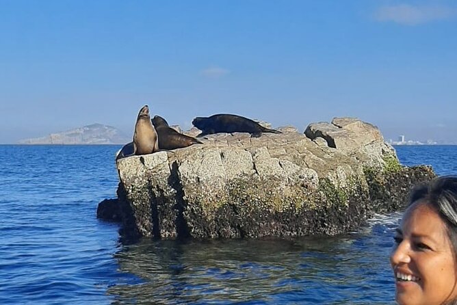Private 3-hour Whale Watching Activity in Mazatlan - The Likelihood of Seeing Whales and What You Might Witness