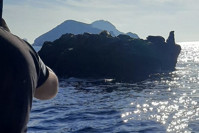 Private 3-hour Whale Watching Activity in Mazatlan - The Environment and Common Sightings