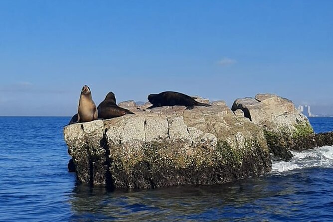 Private 3-hour Whale Watching Activity in Mazatlan - Booking and Cancellation Policies