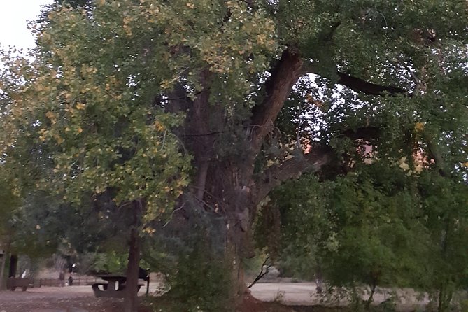 Private 3 or 4-Hour Sedona Vortex Energy Balancing Journey - Practical Aspects of the Tour