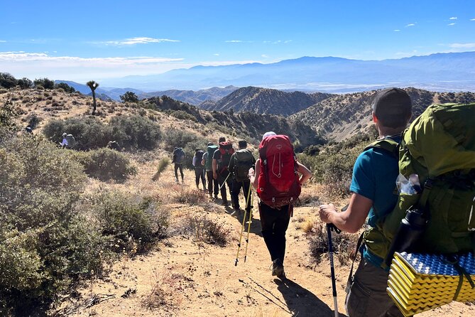 Private-36 Hour Adventure in Joshua Tree National Park - The Expertise and Attentiveness of Guides