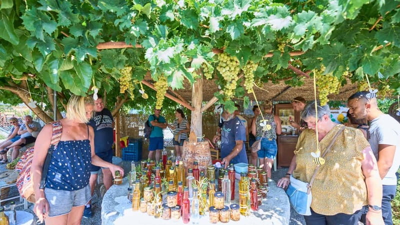 Private 4-5-Hour Tour and explore the hidden Gems of Rhodes - Why This Tour Fits Different Types of Travelers