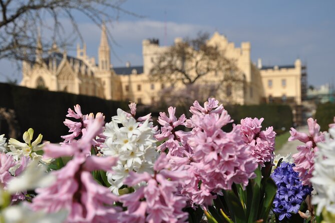 Private 4 Castles Day Trip from Vienna to South Moravian Region - Key Points